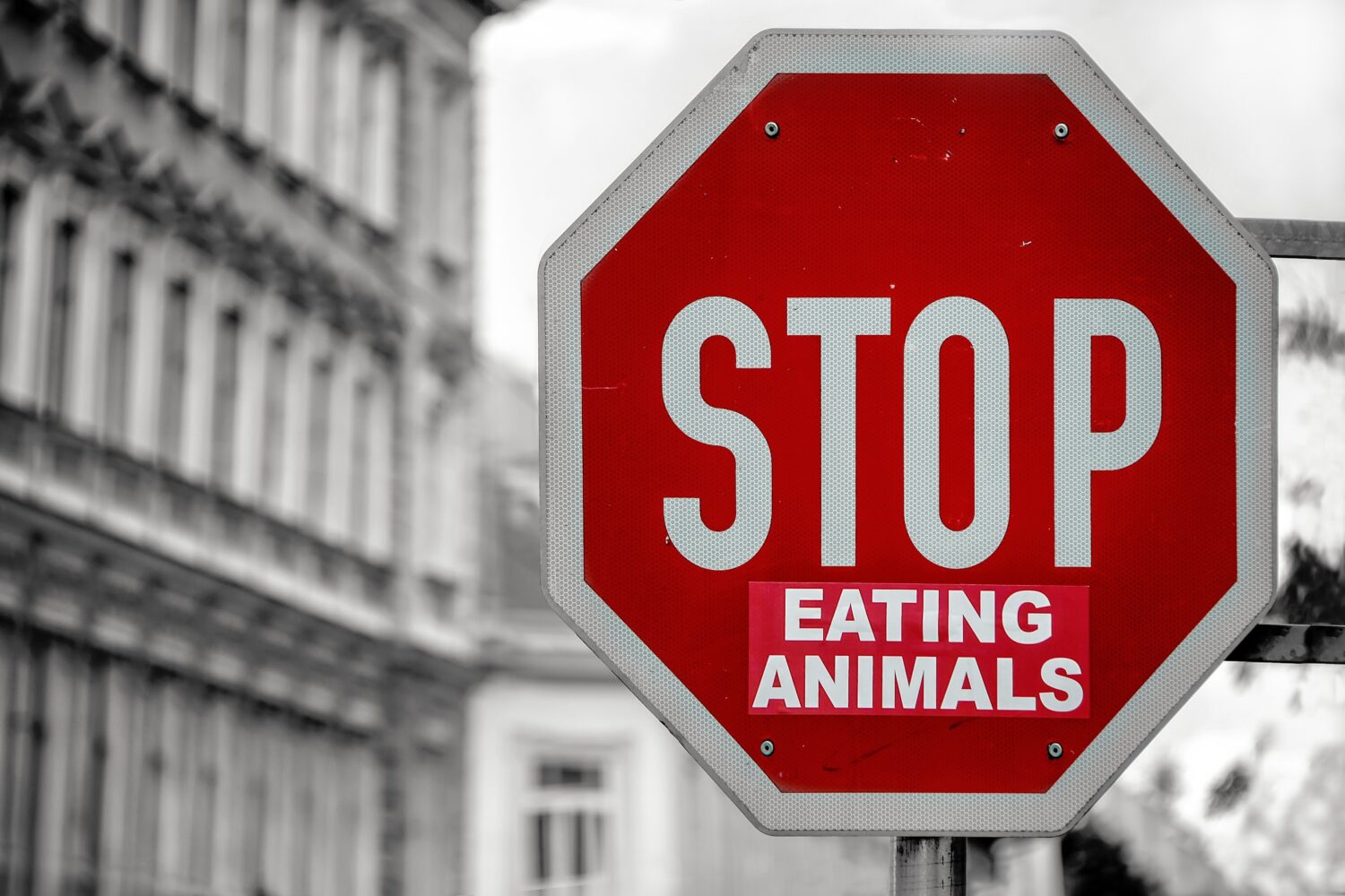 De PR van de vleesindustrie kan niet op tegen vegan argumenten blog - PR